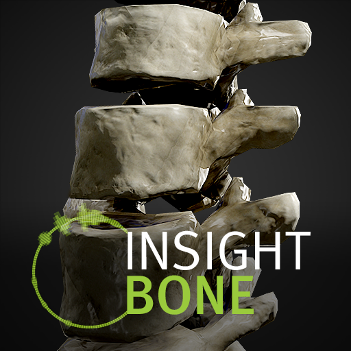 INSIGHT BONE الحاسوب