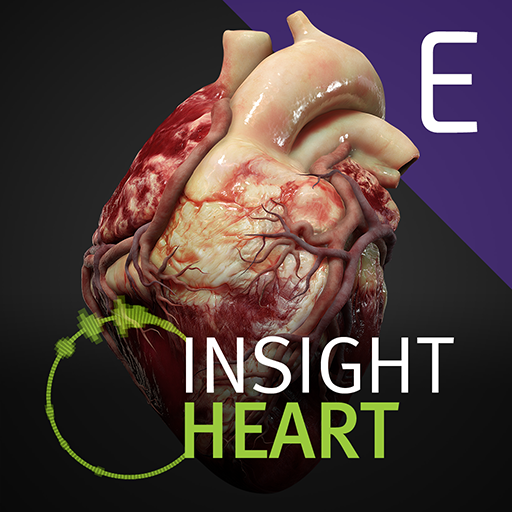 INSIGHT HEART Enterprise الحاسوب