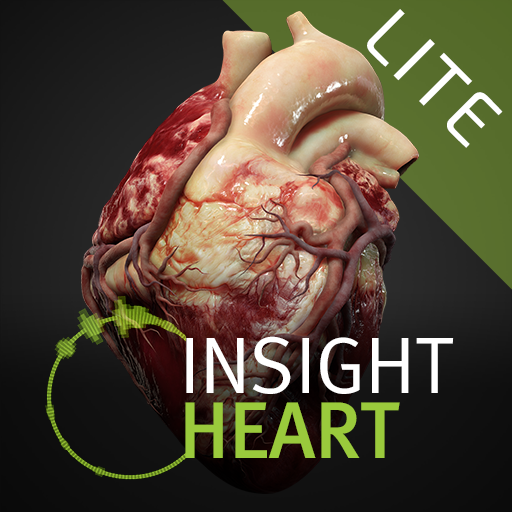 INSIGHT HEART Lite الحاسوب