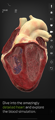 INSIGHT HEART Lite الحاسوب