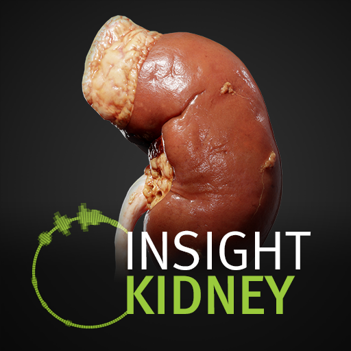 komputer INSIGHT KIDNEY