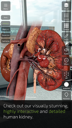 komputer INSIGHT KIDNEY