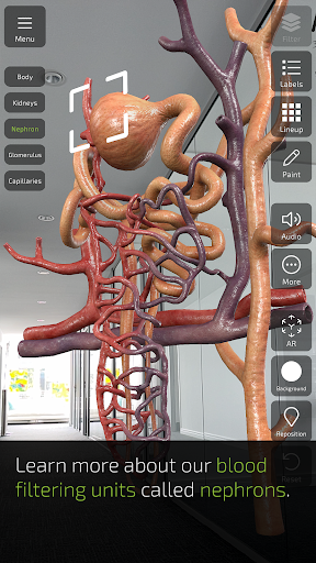 komputer INSIGHT KIDNEY