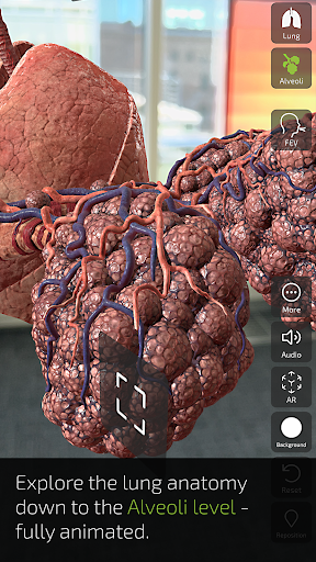 INSIGHT LUNG