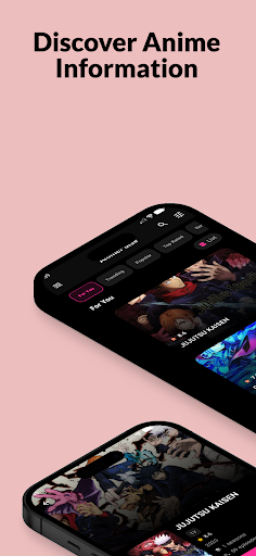 AnimePulse پی سی