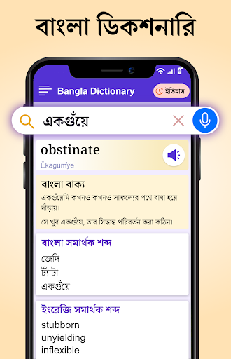 Bangla Dictionary Offline পিসি