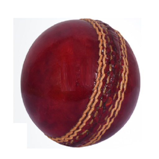 Bowling Speed Test পিসি