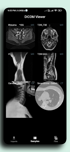 komputer DICOM Viewer