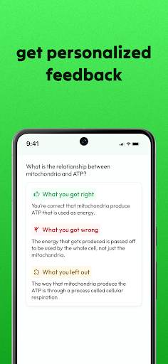 Jungle AI: AI Flashcards, MCQs para PC