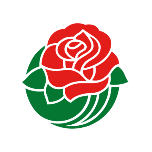 2025 Rose Parade电脑版