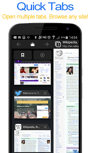 Desktop FullScreen Web Browser PC