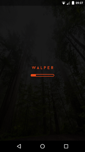 Walper PC