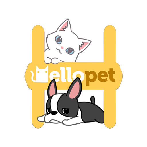 komputer Hellopet