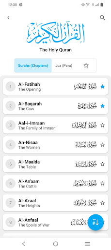 HOLY QURAN - القرآن الكريم‎ PC