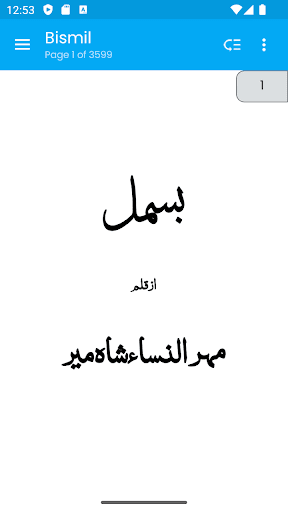 Bismil Novel by Mehrulnisa পিসি