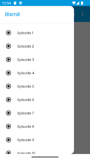 Bismil Novel by Mehrulnisa