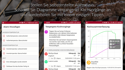 MEATER® Smart-Fleischthermomet PC