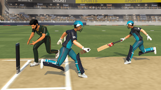 Real World Cricket Games