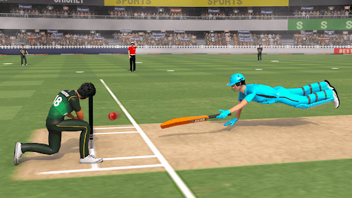 Real World Cricket Games