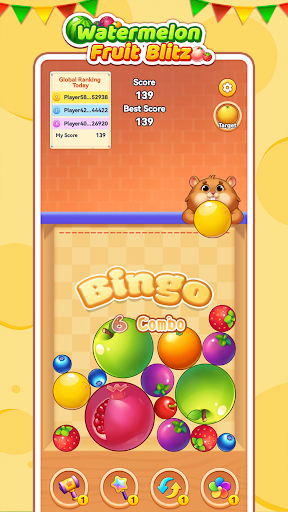 Watermelon Fruit Blitz PC