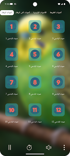 صوت البادجي PC