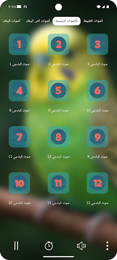 صوت البادجي PC
