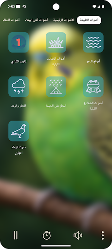 صوت البادجي PC