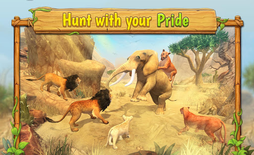 Lion Family Sim Online - Anima PC