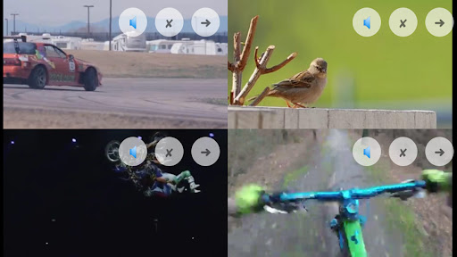 Split Screen Video Player