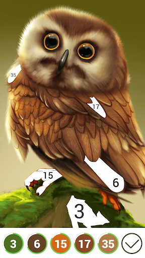 Hola Color--Coloring by Number PC