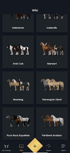 NOBLE HORSE DESIGN电脑版