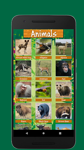 Birds & Animal Sounds PC