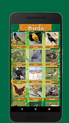 Birds & Animal Sounds PC