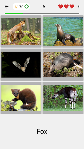 Animals Quiz Learn All Mammals