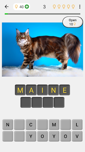 Cats Quiz Guess Popular Breeds