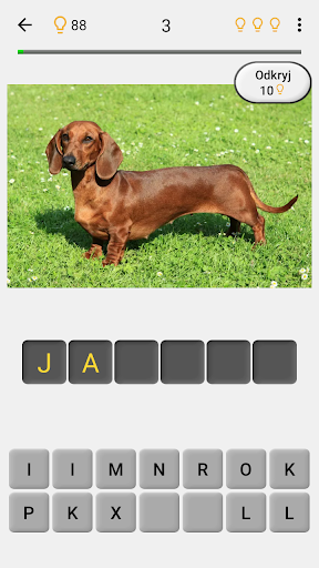 Psy - Zgadnij wszystkie rasy PC