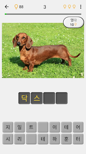 개 품종 퀴즈 : 사진에서 인기 있는 개 종류을 추측 PC