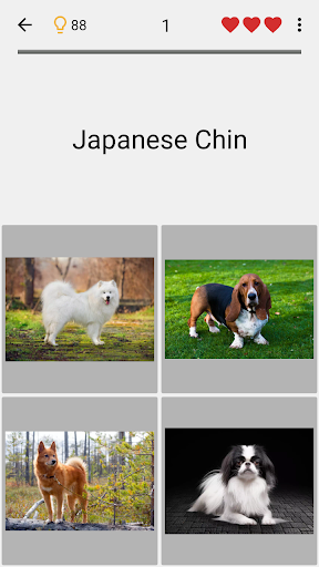 Dogs Quiz - Guess All Breeds! PC