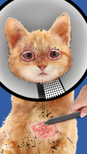 Cat ASMR: Salon Makeover الحاسوب