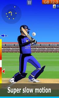 Smashing Cricket PC