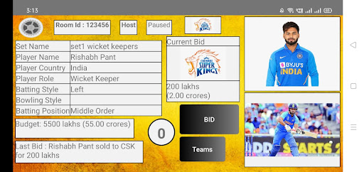 Virtual Cricket Auction পিসি