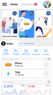 Avanlee Legacy电脑版
