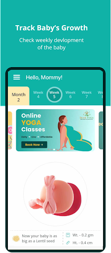 Pregnancy and Baby Tracker PC