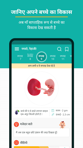 Pregnancy and Baby Tracker PC
