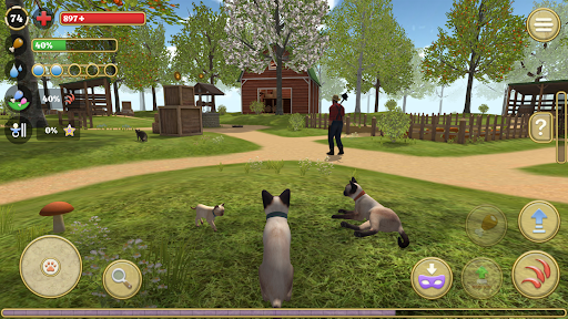 Cat Simulator : Kitties Family电脑版
