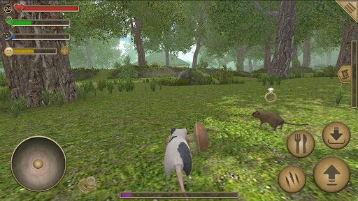Mouse Simulator :  Forest Home PC