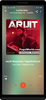 PLAYin- Video, Music & Gallery PC