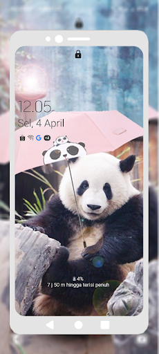 Cute Panda Wallpapers