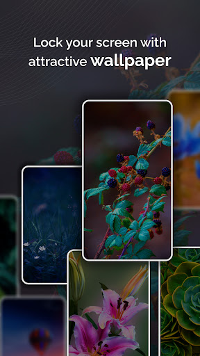 Touch Photo Lock screen PC