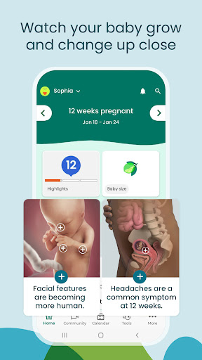 Pregnancy App & Baby Tracker পিসি